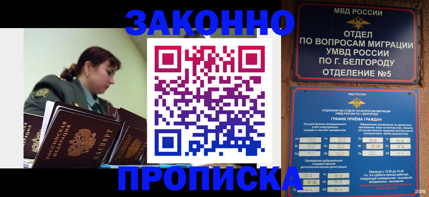 прописка поиск в Калининграде